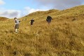 Wigwams 2003